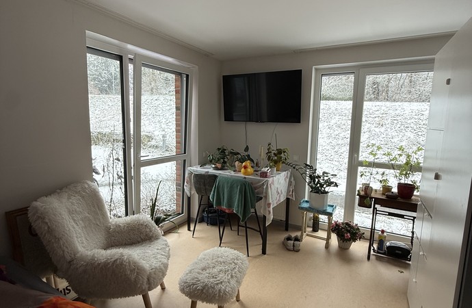 Helles Zimmer mit modernen Möbeln und zwei Fenstern