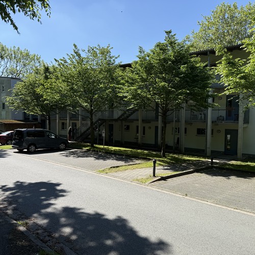 Großes Gebäude hinter Bäumen an einer Straße