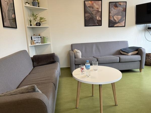Wohnzimmer mit Sofas und grünem Fußboden